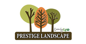 Prestige-LandScape
